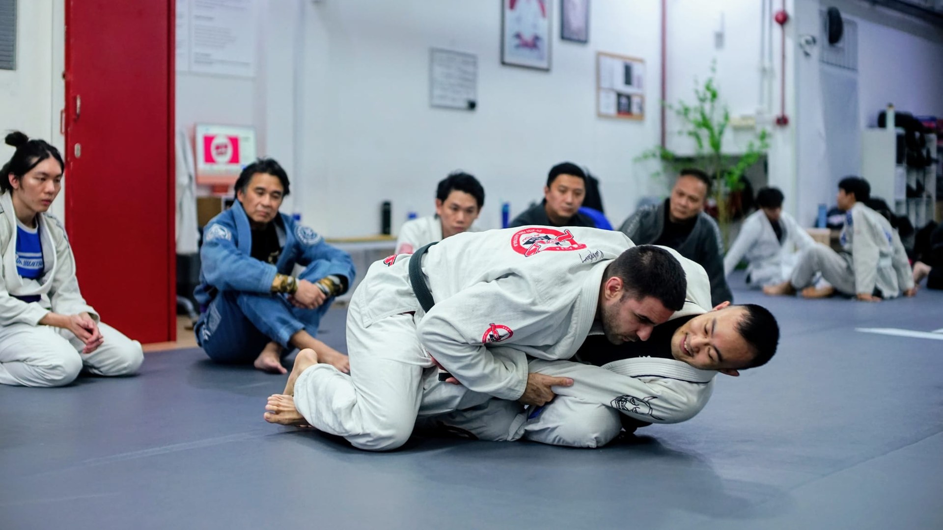 Advanced Gracie Jiu-Jitsu
