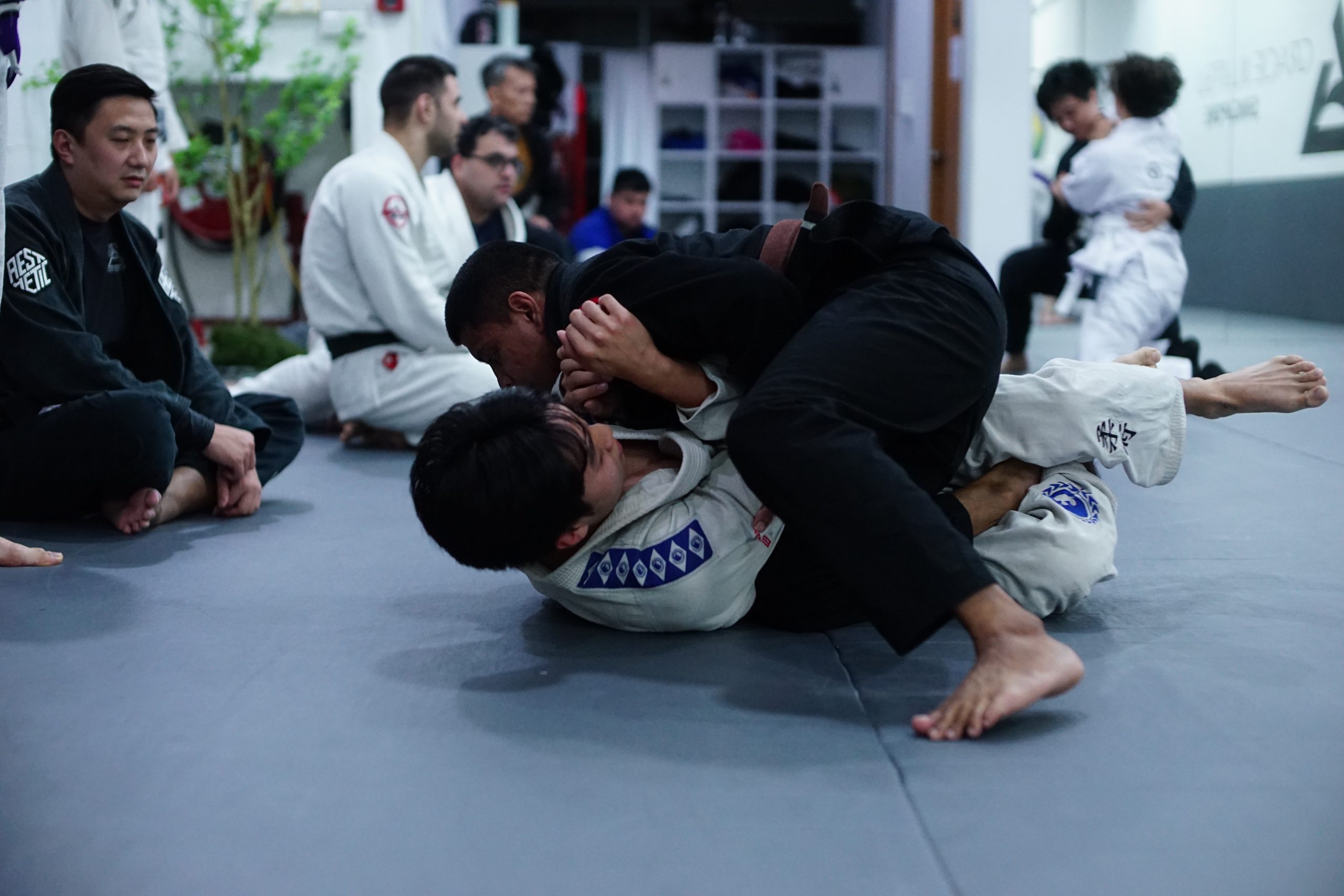 Training session